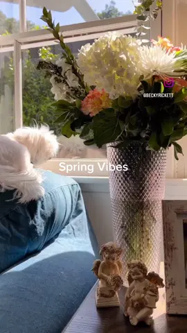 Spring days are characterized by blooming flowers, chirping birds, and pleasant temperatures. The sun shines brighter, and a slight breeze makes the air feel calming. Could life be any better? #maltese #maltesedog #backyardvibes #springvibes 