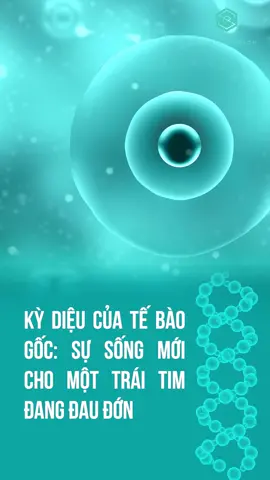 Sự kỳ diệu của công nghệ tế bào gốc #xuhuong #seagames31 #thuvi #khoahoc #tebaogoc #suckhoe #benhtim #nhatban #taitao