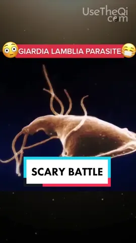 Mark has been living with intense pain and discomfort over the last two weeks due to painful bumps on his arms and legs.	#medicalemergency #parasite #worm #painfulbumps #battlingillness #seekmedicalattention #medicaltiktok @The Qi Master ⭐️ David Wong 