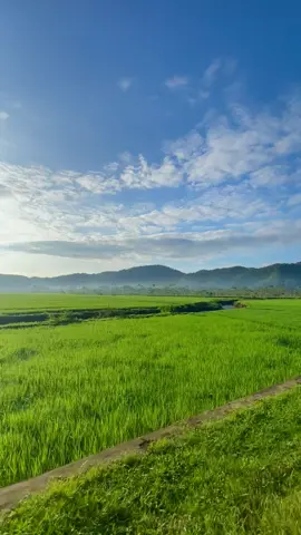 Sound dan pemandangannya candu banget. Btw, video ini fyp sampai kota mana nih?