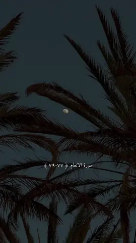 فلما رأي القمر بازغا 