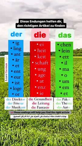 Die Artikel ( der, die das) #german #deutsch #deutschlernen #ichlernedeutsch #almanya #dativ #alemania #artikel 