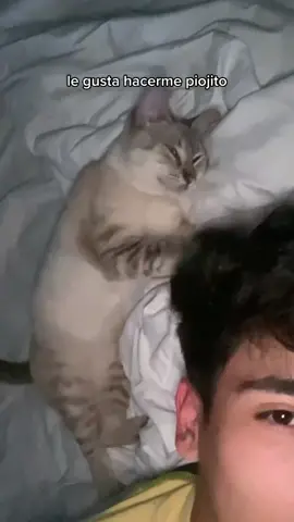 #fyp #cat 