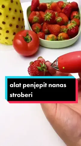 Alat Penjepit Mata Buah Yang Unik.  #pencapitbuahstroberi #pencapitbuah #penjepitnanas #produkunik #barangunik #viralprodukunik 