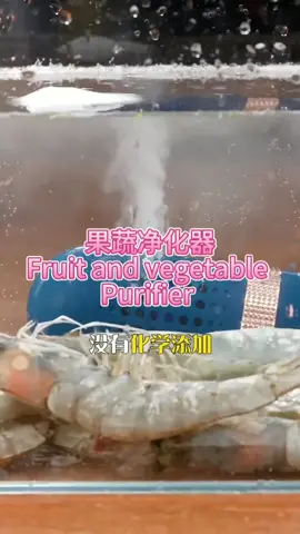 果蔬净化器，优先为您的健康考虑#tiktokshopsg #tiktoksg #tiktoksg🇸🇬 #singapore #food #foods 