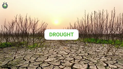 💧Drought Crisis Alert!💧 Our planet is facing a severe water shortage, and it's time to take action! 🌍💔 Did you know that droughts can devastate ecosystems, agriculture, and communities? It's crucial to conserve water and support sustainable practices. Together, we can make a difference and ensure a better future for all. 💪💦 #climatecrisis #climatechange  #droughtcrisis #drought #sustainabilitymatters #climateemergency  #savewater  #takeaction #greenliving  #awarenessmatters #actonclimate 