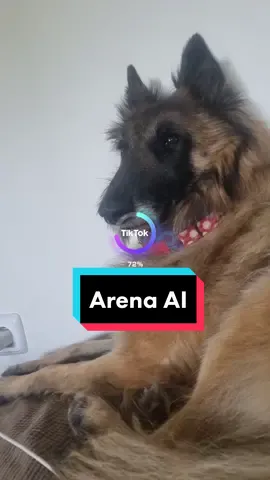 Probando el nuevo filtro #Arena #filtro #ai #ia #perro #perros #dog #dogs 