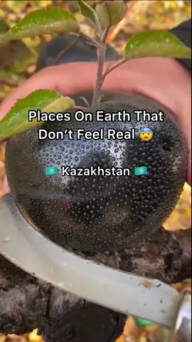 Most beautiful places in Kazakhstan #travel #explore #adventure #nature #fyp 