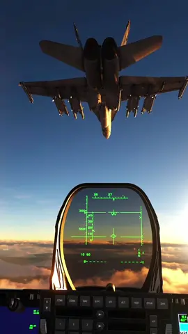 F/A-18C's and an F-22 Raptor formation | DCS World #airforce #pilotlife #dcsworld #dcs #warthunder #f22raptor #military 
