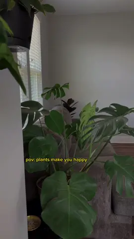 pov: plants make you happy  #plantmom #plantmomaesthetic #plantsoftiktok #PlantTok #plantyhome #plantwall #philodendronlovers #monsteralover 