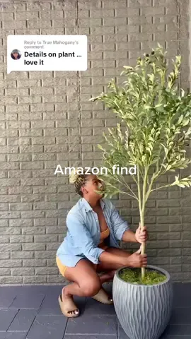 Replying to @True Mahogany  This faux Olive tree is an amazon find available in 2 sizes. It’s an interior plant  but chose to use it outside under the deck.  #outdoorliving #outdoordesign #amazonfinds 