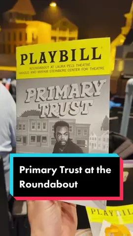 Have you heard of the new off-Broadway show called Primary Trust? It stars William Jackson Harper and is at the Roundabout through July 2nd. AD | #nyctheatre #nyc #nyctravel #nyclife #williamjacksonharper #offbroadway #roundabouttheatercompany   
