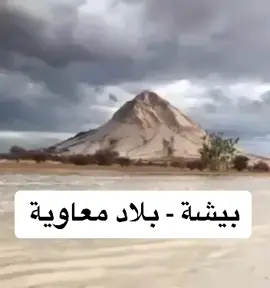 #المعاوي#معاوية#المعاوي912#بيشة#خثعم#حكام_بيشة#المحلف#معاويه#المعاوى#معاوي#نجد#بيشة_معاوية#المحلف#حرف_معاوية#نمران#معاوية_بيشة #معاوية_خثعم #بدو_خثعم#خيالة المعطاء #912 #السعودية#الرياض#جدة#مكة#الدمام#الشرقية#السودان  #الكويت #السعودية#الجيش_السعودي #العرب #العراق#صدام#صدام_حسين#نجد#ابها#المدينة #مصر#القاهرة #الامارات#عمان#تبوك#السعودي #نجران#بيشة #الطائف #الشرقية #النماص #محمد_بن_سلمان #الملك_سلمان 