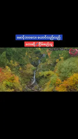 #မောင့်ဘဝလေးယောင်လည်လည် #တေးဆို🎤ငြိမ်းစည်သူ #အစအဆုံးတင်ပေးထားပါတယ် #fyp #foryou #foryoupage #aungbhonemyat #တွေးပြီးမှတင်ပါ 