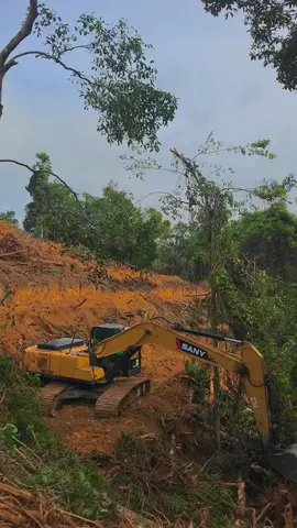 Episode 51/🥵🔥 #TikTokPromote #alatberatexcavator #sany215c #chipitiamsuak #petanimuda #sawit #bukalahansawit #petanimuda #petan #pengusaha #CLEARYourHeadKetombeChallenge 