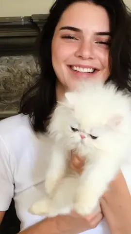 Kendall plays with the worlds cutest kitten. Model:Kendall Jenner #model #lifestylefashion #90sfashion #supermodels @KendallJenner.