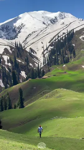 Siri Paye Meadows, Makra Peak, Shogran. #siripaye #meadow #shogran #kaghan #naran #pakistan #mansehra 