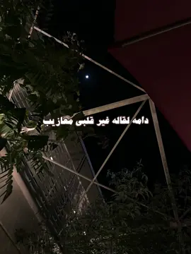 الله يسمح درب هاك السنافي  #متعب_التركي #قصايد_شعر_خواطر  #شعر #شعب_الصيني_ماله_حل😂😂 