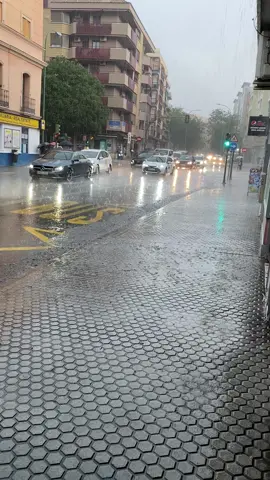 Por fin, llueve en Sevilla #Sevillahoy #lluvia