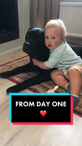#throwbackthursday From day 1 #fyp #foryou #dog #dogsoftiktok #foryoupage #fördig #cutedog #labrador #kids #friends #kidswithdogs #blackdog #soulmates #cute 