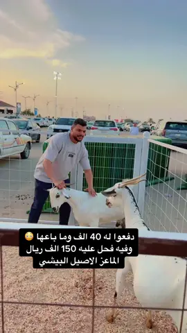 فحل وصل سعره ب 150 الف ريال الماعز البيشي الاصيل #ابوهاشم_الشاجري #foryou من يبي يشتري 😅