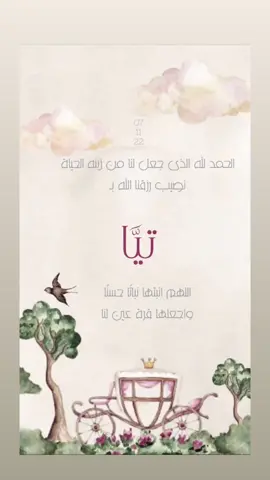 #بشارة_مولودة #الشعب_الصيني_ماله_حل #تيا 