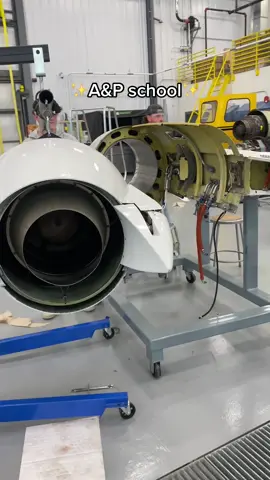 Seriously having the best time #fyp #aircraftmechanic #airframeandpowerplantstudent #pilot #aviation #avgeek