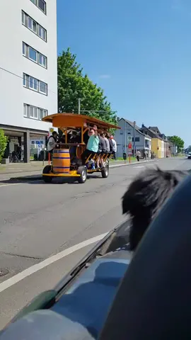 #hüls #bollerwagen #party #fun #dog 😂