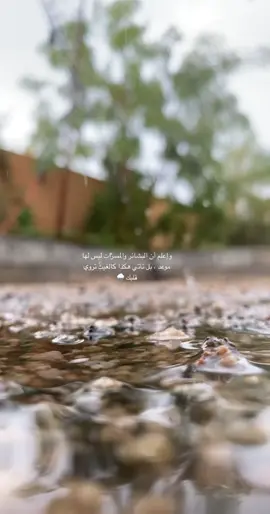 ##تصويري fypシ #صباحيات #صور #explorer #تيك_توك #fypシ゚viral #خواطر #لايك #expression #expression #4u #foryou #امطار #صيفنا_على_جوّك_تنومه_النماص  #sammarmy 