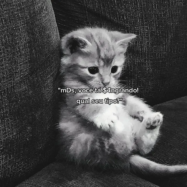 uh.#jikook #foryou #jimin #flop #acessorios #webdom #entregatiktok #jungkook #army #bts #viral #uh #darkstan #webdomjungkook #BookTokBrasil 