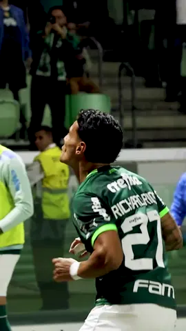 ¡Baila, Ríos! 📷📷 #AvantiPalestra #Palmeiras #TikTokEsportes