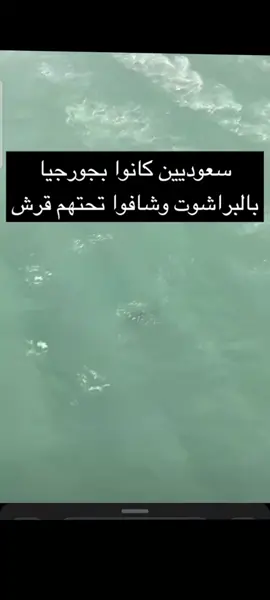 سمك القرش تحتهم #تيك_توك #fyp #اكسبلور #foryou #القرش #fyp #اكسبلورexplore #يوم_الجمعه 