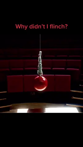 #Science #flinch #neildegrassetyson #degrassetyson #gravity #astrophysics #pendulum #lawsofscience #sciencetiktok #scienceexperiments #fyp #fffyyypppp #viral 