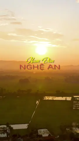 Con lại về quê bác làng Sen Ôi hoa sen nở giữa bùn đen Làng Sen như thể quê chung vậy Mấy dãy ao chua, mảnh đất phèn #nghean #19thang5 #BacHo #disanvietnam  #trending 