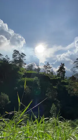 🥶 #beautifulindonesia #PemandanganAlam #aestheticvibes #AlamYangIndah #jalanjalan #videovibesestetik #adventure #ExploreIndonesia #StoryPemandangan #GoodVibesAesthetic #CinematicAlam #view #VideoEstetik #healingscenery #amazingview #pesonaindonesia #semangatberjuang #kontenhiburan #komang 