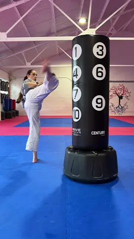 This isn’t my phone number 😂 #martialarts #taekwondo #kickboxing #karate #mma #taekwondogirl #태권도 #martialartist #femalemartialartist #mixedmartialarts #martialartstraining #femalemartialarts 