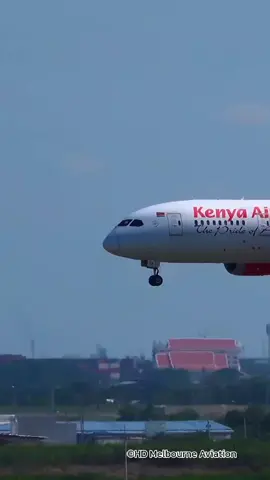 KENYA AIRWAYS || B787-8 สายการบินจากประเทศเคนย่า ใครเคยใช้บริการบ้างเอ่ย🙋🇰🇪 #b787 #boeing787 #boeing #kenyaairways 