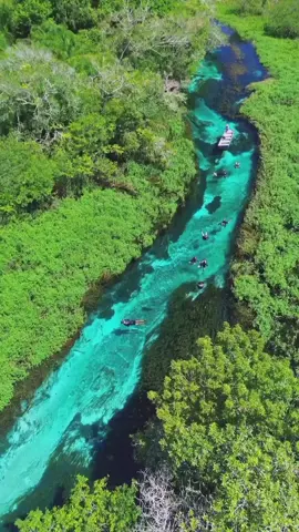 Bonito #riosucuri #river #bonitomsoficial 