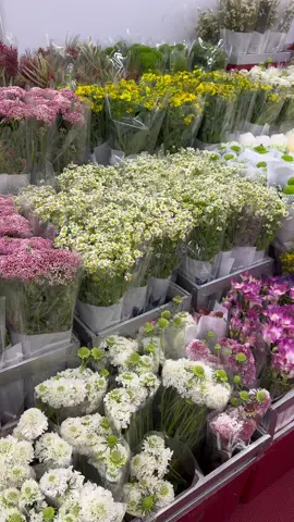 ปากคลองตลาด = สวรรค์ของคนรักดอกไม้ 🥺💐 #fypシ 