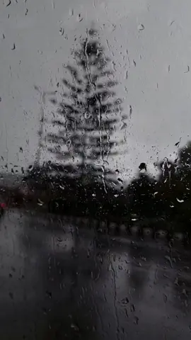 القارئ ماهر المعيقلي  وهو الذي ينزل الغيث #اجر_لي_ولكم #foryou #fyp #foryoupage #viral #القران_الكريم #quran #ماهرالمعيقلي 