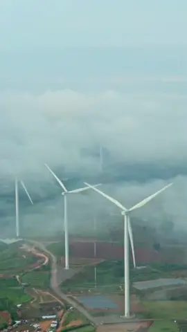 ทุ่งกังหันลมเขาค้อ #ธรรมชาติบําบัด #ทุ่งกังหันลมเขาค้อ #เขาค้อเพชรบูรณ์🌿🌱🍃  #tiktokท่องเที่ยว #วิวธรรมชาติสวยๆ #ขึ้นฟีดเถอะ #อย่าปิดการมองเห็น 