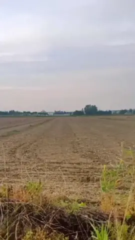 #ngopi dulu bray biar ga panik