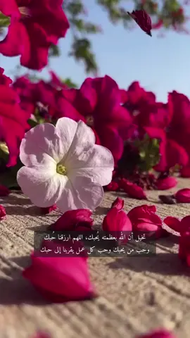 #اللهم ارضى عنا..  وارزقنا حُبك وحب كل عملٍ يُقربنا إلى حُبك أنا وكل من قال أمين 🤲🏻 #يارب #اللهم_امين_يارب_العالمين 