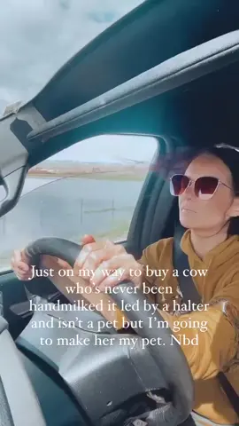 1200 pounds of soon to be puppy! We love our milk cow Buttercup! 