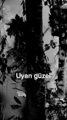 🎶 Aykız #rüştüasyalı #keloğlan #aykız #kocaman_bir_hiç_0 #hiç #fypシ #latspread #lats #aşk #fyp #kesfet #duygusalşarkılar 