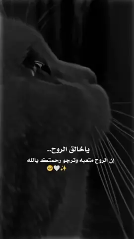 #رحمتك_ياالله 