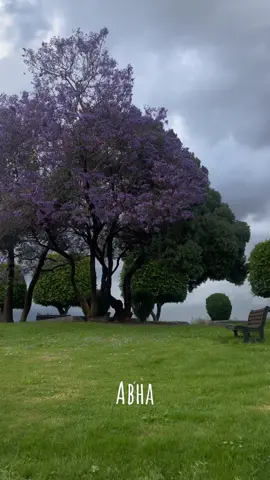 #أبها #أبها_الآن #أبها_عسير #abha #جاكرند_ابهاا💜 