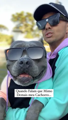 Quando Falam que Mimo Demais meu Cachorro 