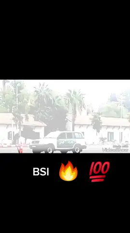 #الصاعقة_الجزائرية💪😉🇩🇿 