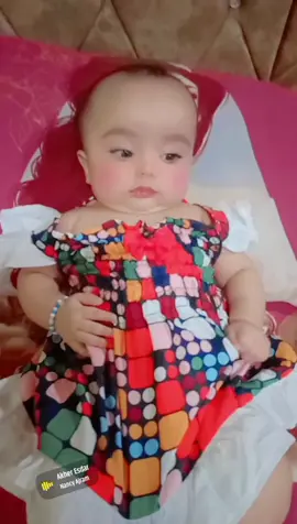 حبيبت ابوه زهورتي
